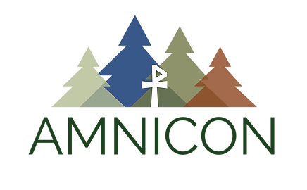 Amnicon logo